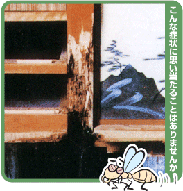こんな症状に思い当たることはありませんか(シロアリに侵された家の写真)