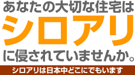 あなたの大切な住宅はシロアリに侵されていませんか。シロアリは日本中どこにでもいます。